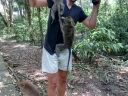 ubud (07)